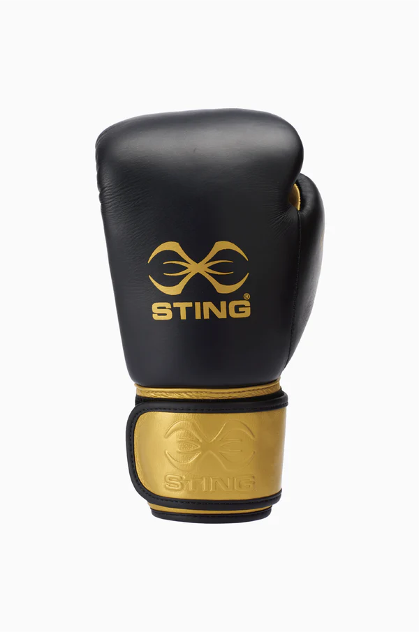 Evolution Boxing Gloves with superior shock protection. Back View