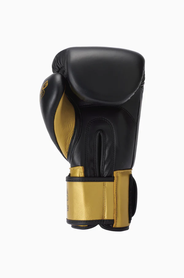 Evolution Boxing Gloves with superior shock protection. Front View