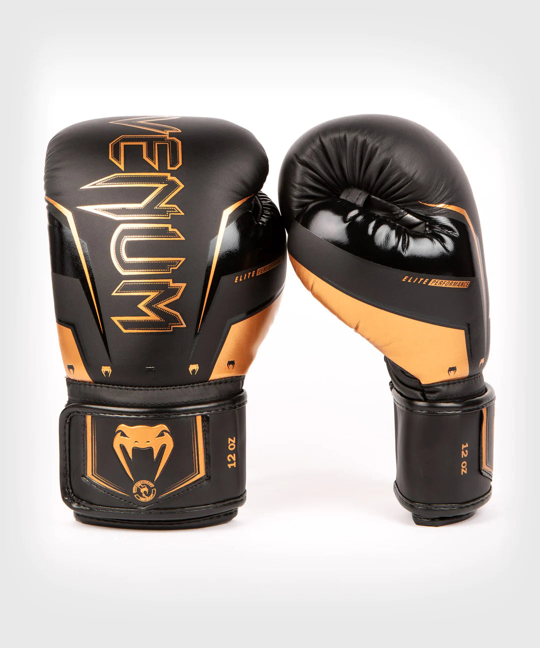 Elite Evo 2.0 Boxing Gloves for combat sports with synthetic leather and shock absorption. Back and Side View