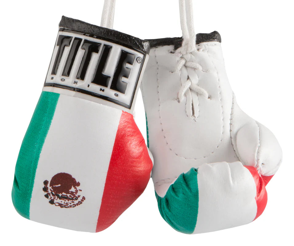 TITLE Boxing 3.5” Mini Boxing Gloves